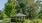 a house with trees around it