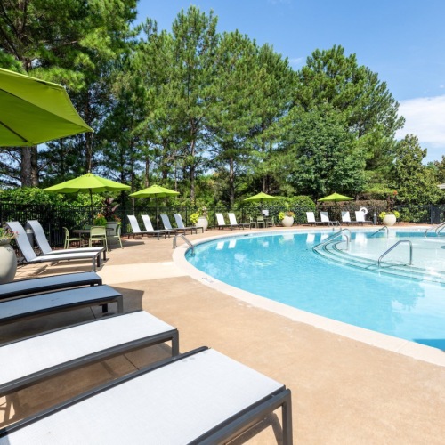 pool with lounge chairs and plants