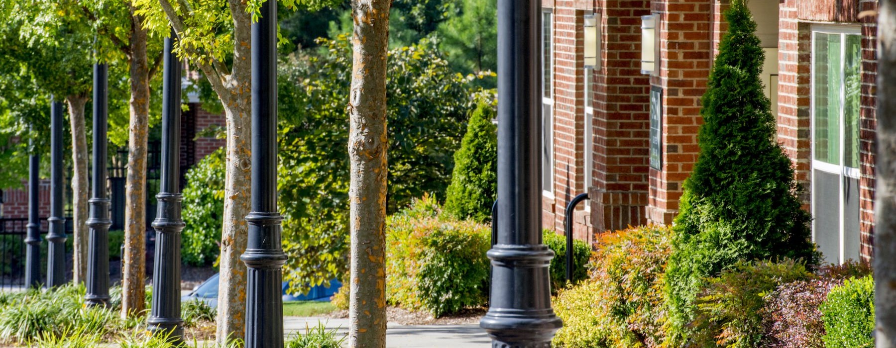 a well-landscaped sidewalk