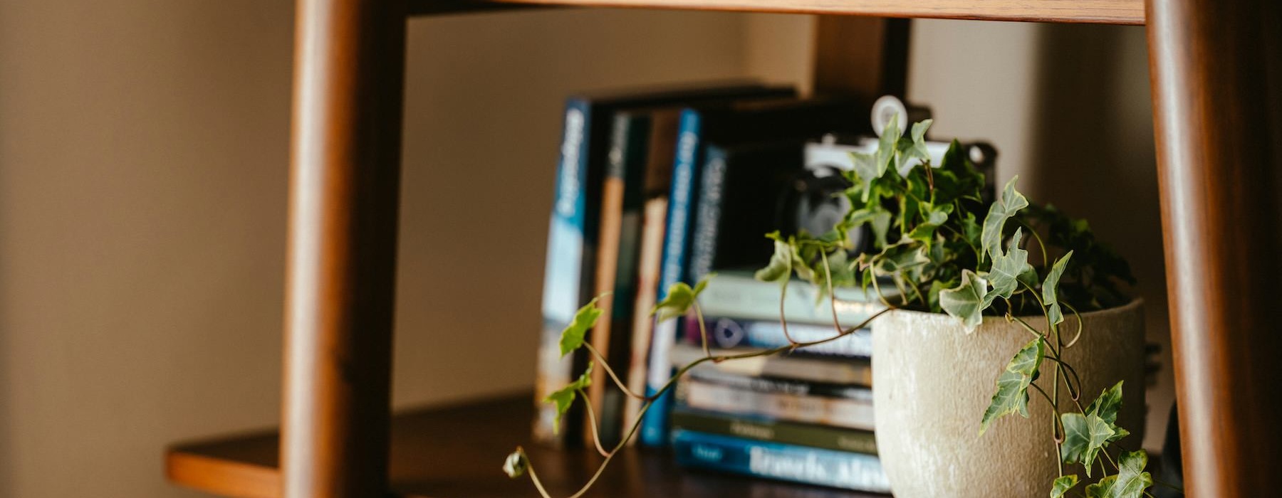 a set of books and a plant