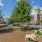 a park with trees and benches